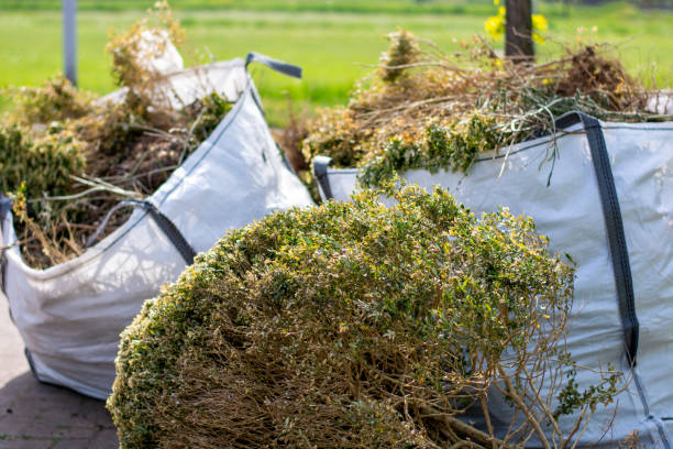Best Basement Cleanout Services  in Dover, TN